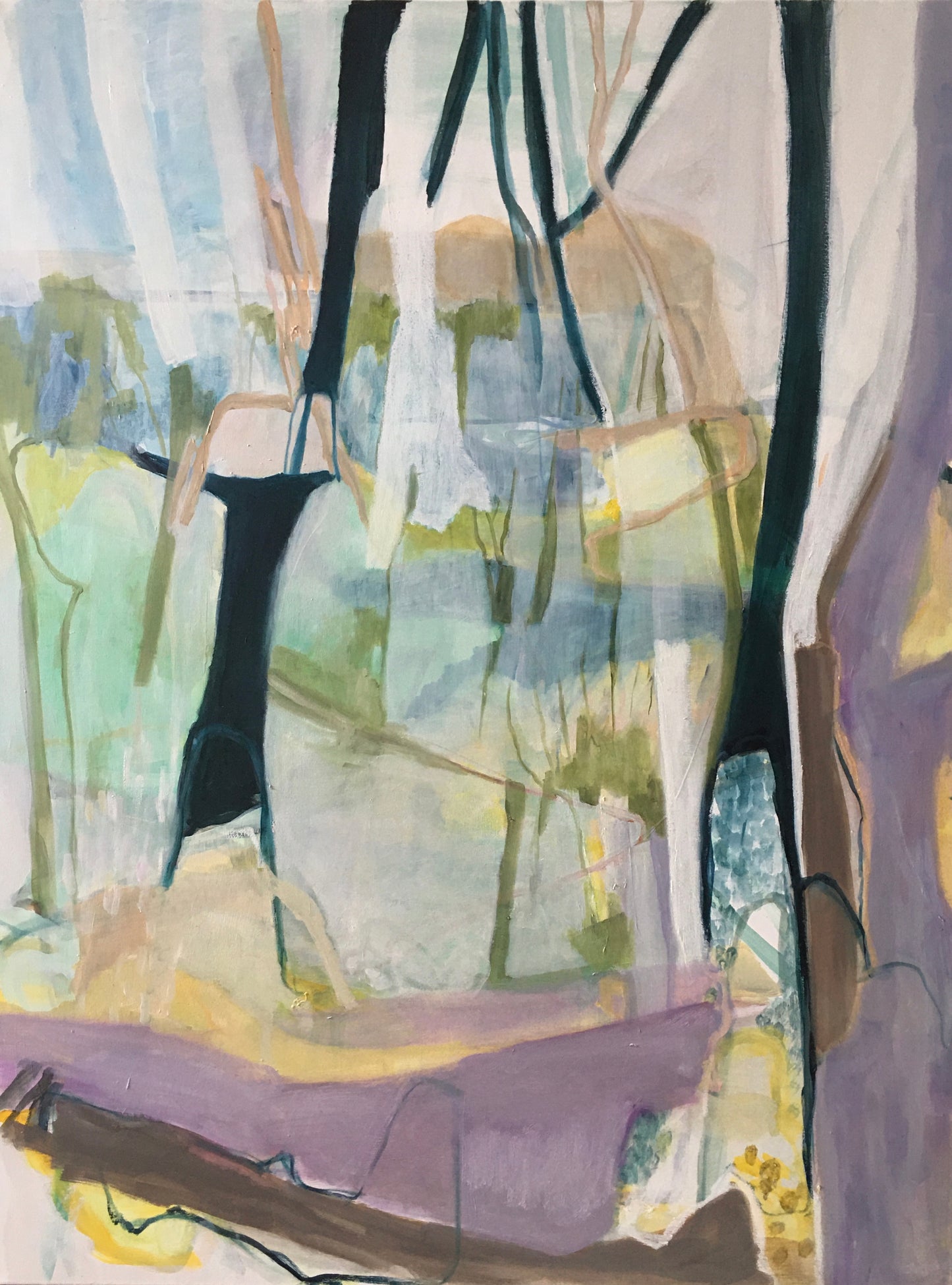 Forest wander